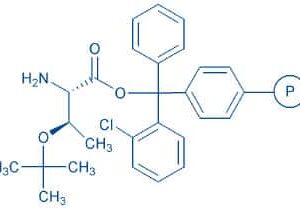 H-Thr(tBu)-2-chlorotrityl resin (200-400 mesh, 0.50-0.90 mmol/g) Chemical Structure