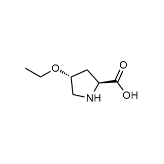 (2S,4R)-4-Ethoxypyrrolidine-2-carboxylic acid Chemical Structure