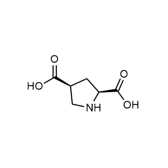 (2S,4S)-pyrrolidine-2,4-dicarboxylic acid 化学構造