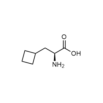 (S)-2-Amino-3-cyclobutylpropanoic acid Chemical Structure