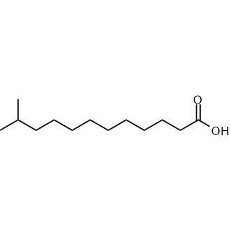 11-Methyllauric acid Chemische Struktur