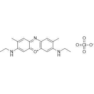 3,7-Bis(ethylamino)-2,8-dimethylphenoxazin-5-ium perchlorate التركيب الكيميائي