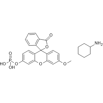 3-O-Methylfluoresceinphosphate cyclohexylammonium salt التركيب الكيميائي