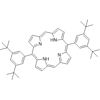 5,15-Bis[3,5-bis(1,1-dimethylethyl)phenyl]-21H,23H-porphine Chemische Struktur