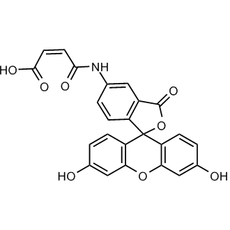 Fluoresceinamine Maleic Acid Monoamide 化学構造