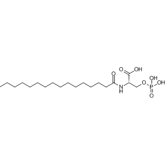 L-NASPA Chemical Structure