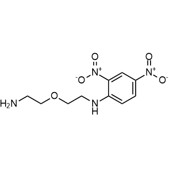 N-(2-(2-Aminoethoxy)ethyl)-2,4-dinitroaniline Chemische Struktur