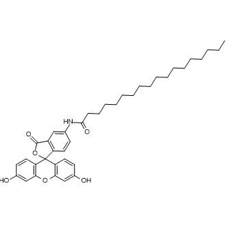 N-(3',6'-Dihydroxy-3-oxo-3H-spiro[isobenzofuran-1,9'-xanthen]-5-yl)stearamide Chemical Structure