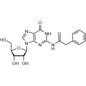 N-(9-((2R,3R,4S,5R)-3,4-Dihydroxy-5-(hydroxymethyl)tetrahydrofuran-2-yl)-6-oxo-6,9-dihydro-1H-purin-2-yl)-2-phenylacetamide التركيب الكيميائي