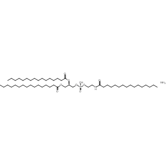 N-Palmitoyl phosphatidylethanolamine 化学構造