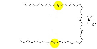 DOTMA E-isomer Chemical Structure