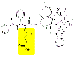 Paclitaxel-Succinic acid 化学構造