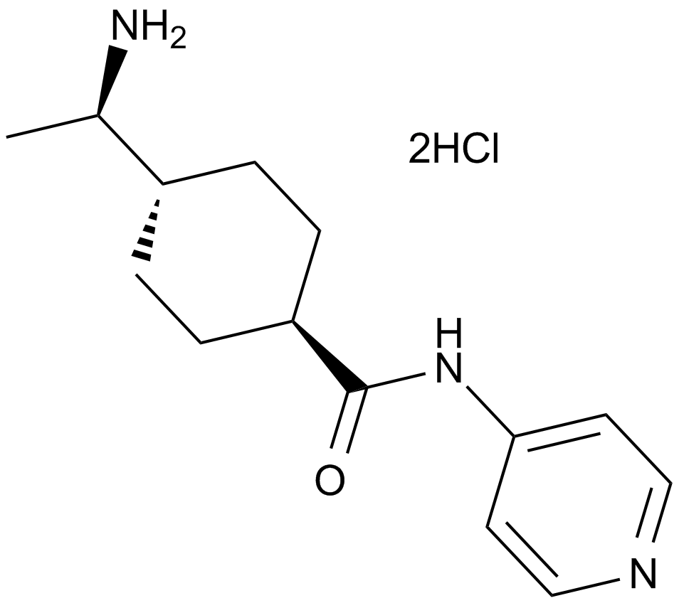 Y-27632 dihydrochloride Chemische Struktur