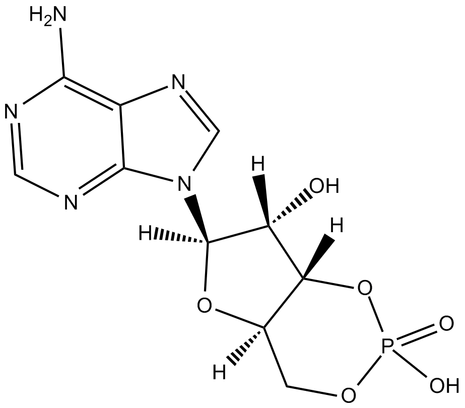 Adenosine 3-5-cyclic monophosphate  Chemical Structure