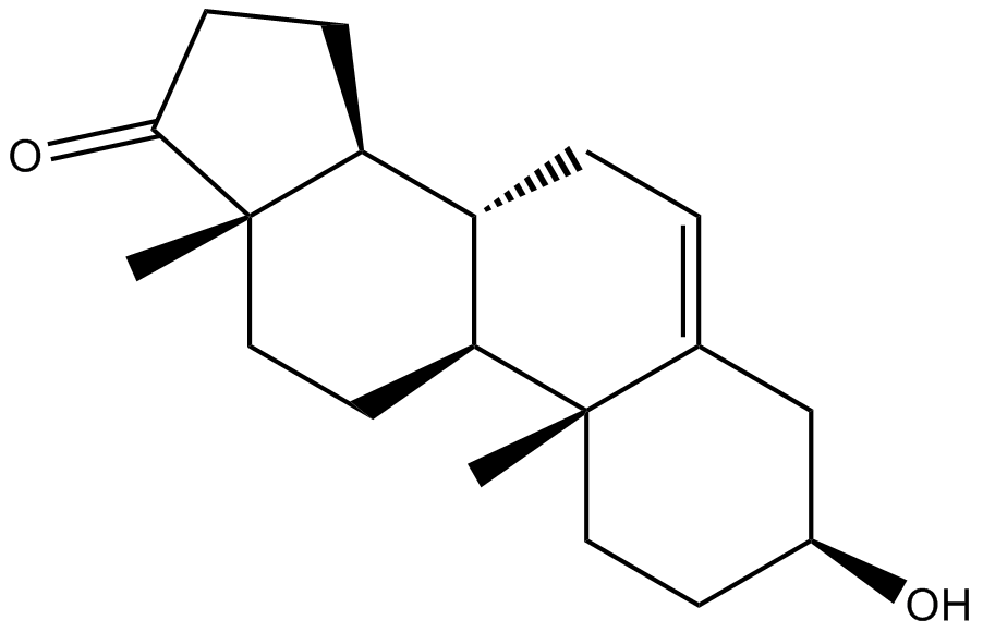 Dehydroepiandrosterone (DHEA) Chemische Struktur