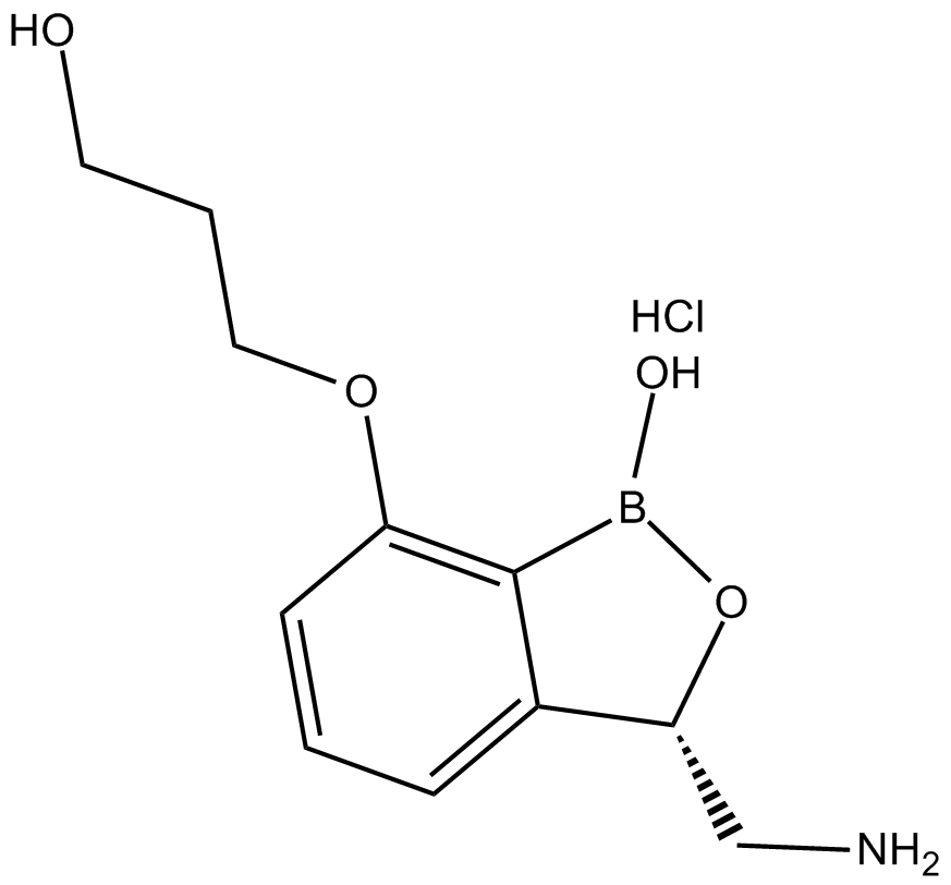 AN3365 (hydrochloride) 化学構造