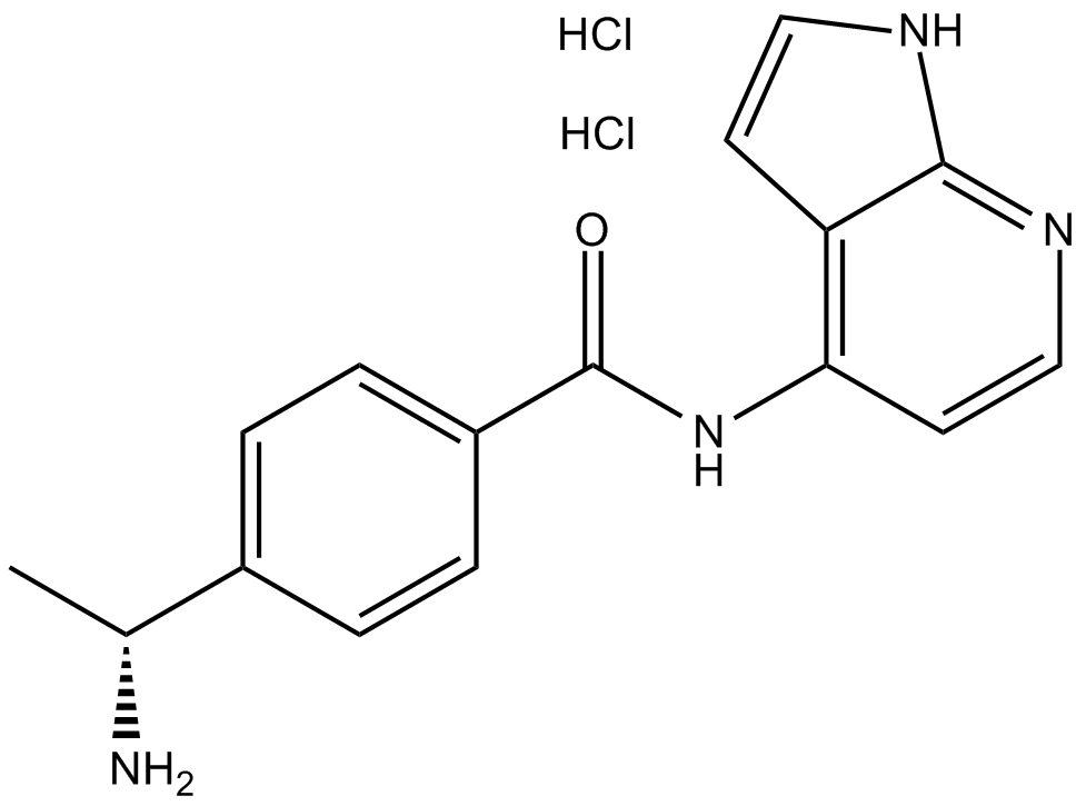 Y-39983 dihydrochloride Chemische Struktur