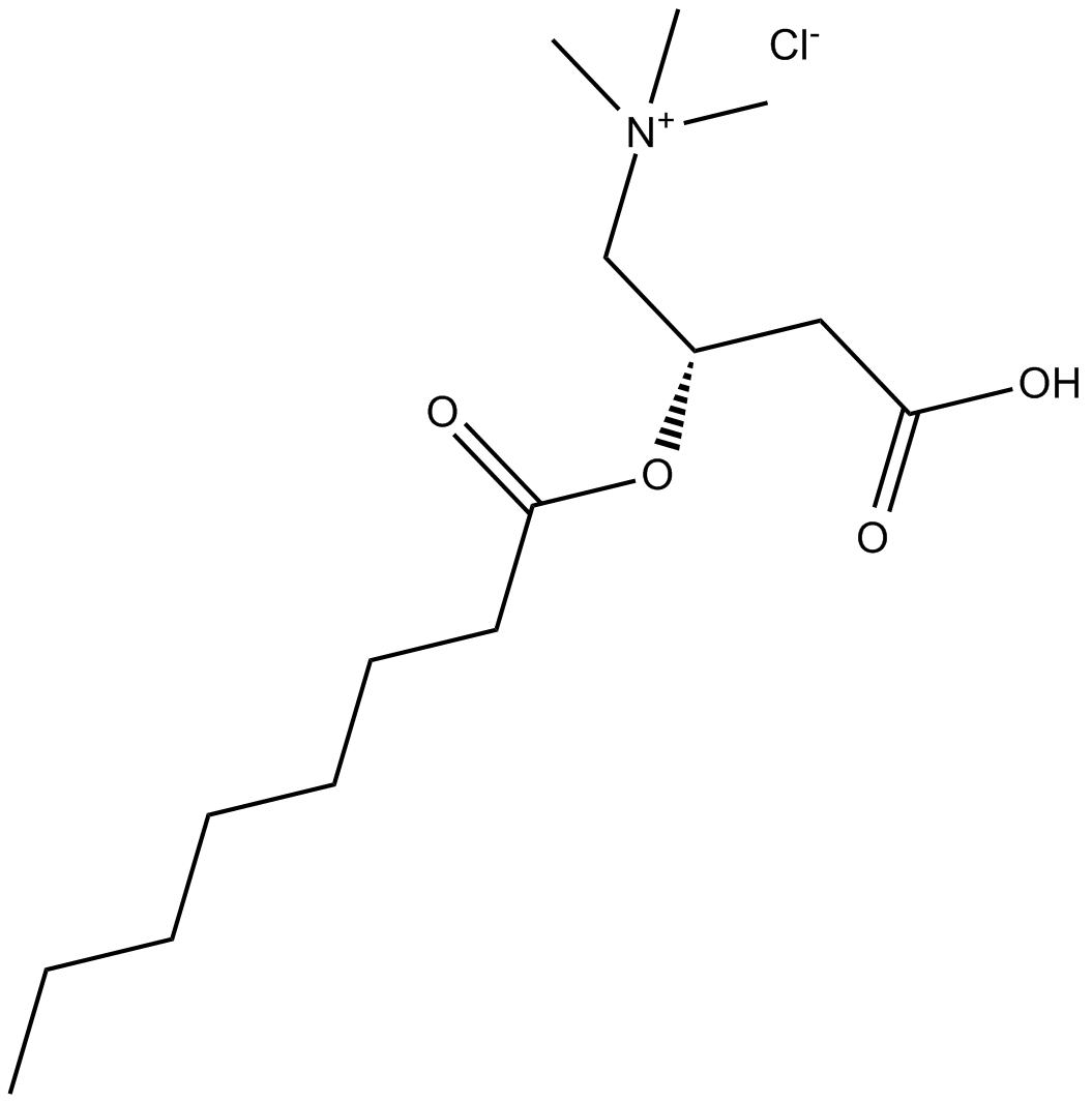 (±)-Octanoylcarnitine chloride Chemische Struktur