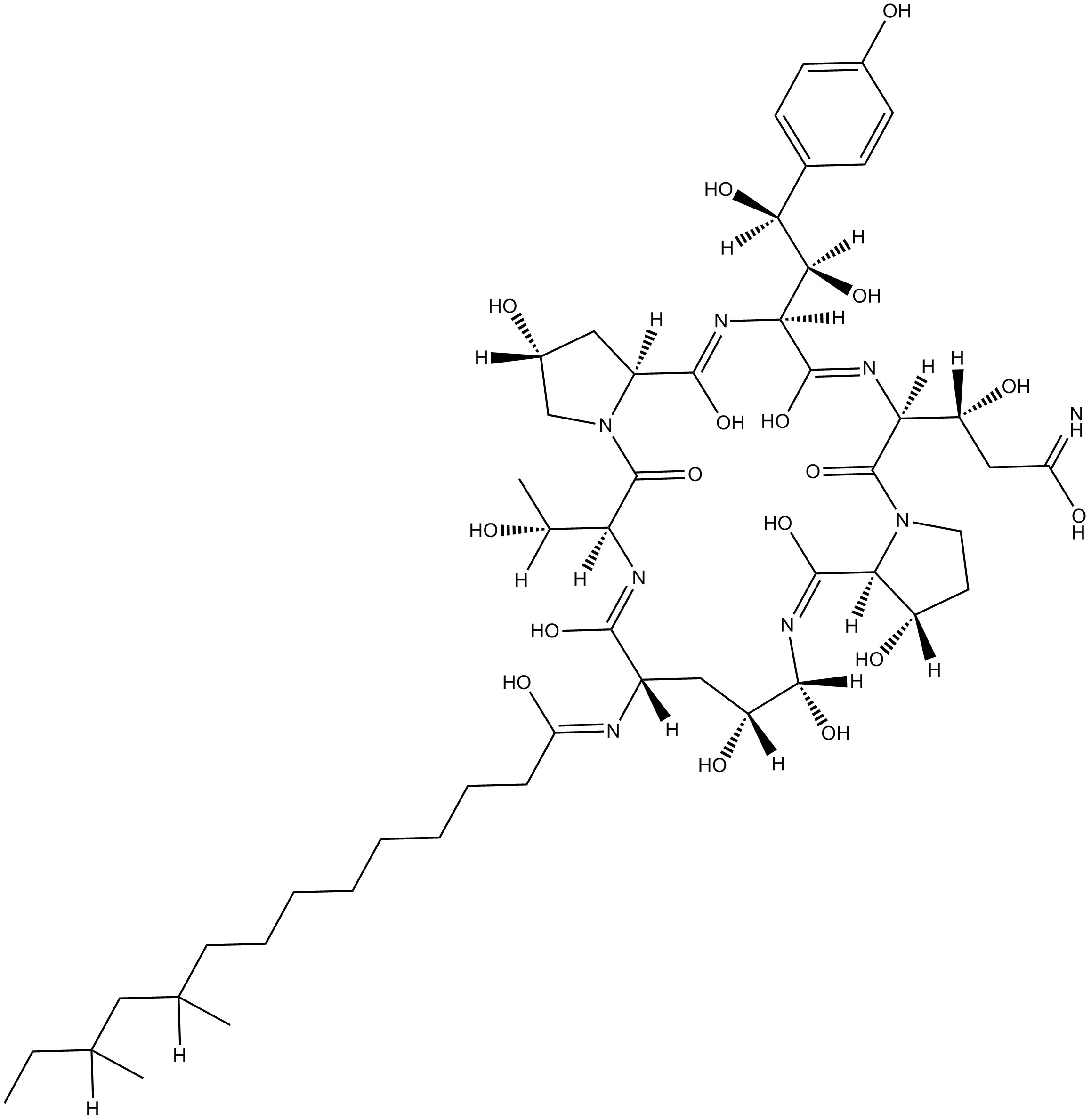 Pneumocandin B0 化学構造