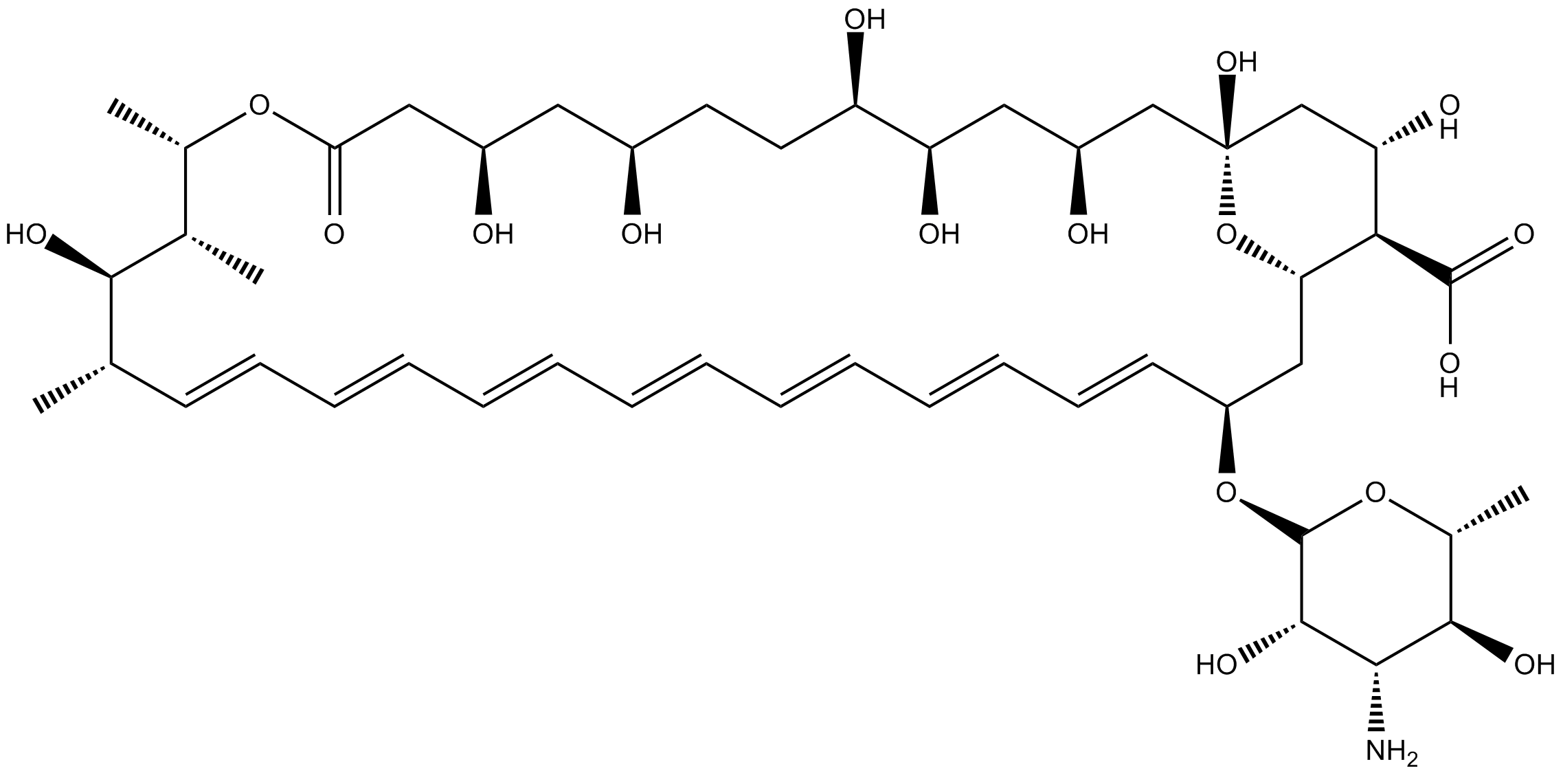 Amphotericin B 化学構造