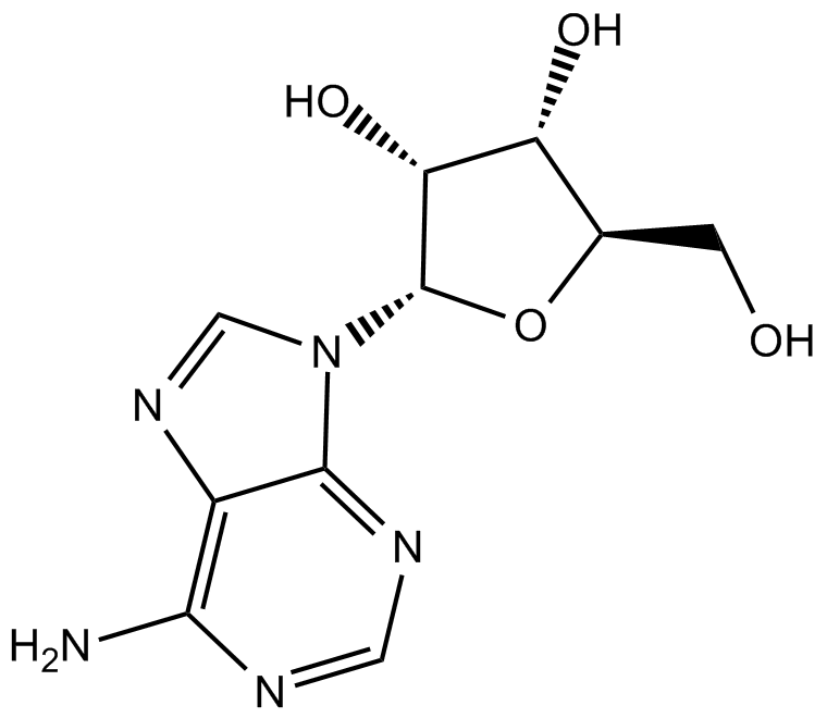 Adenosine 化学構造