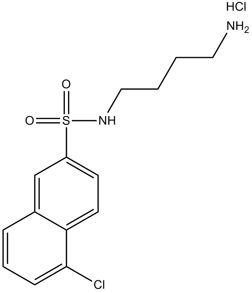 W-13 hydrochloride Chemical Structure