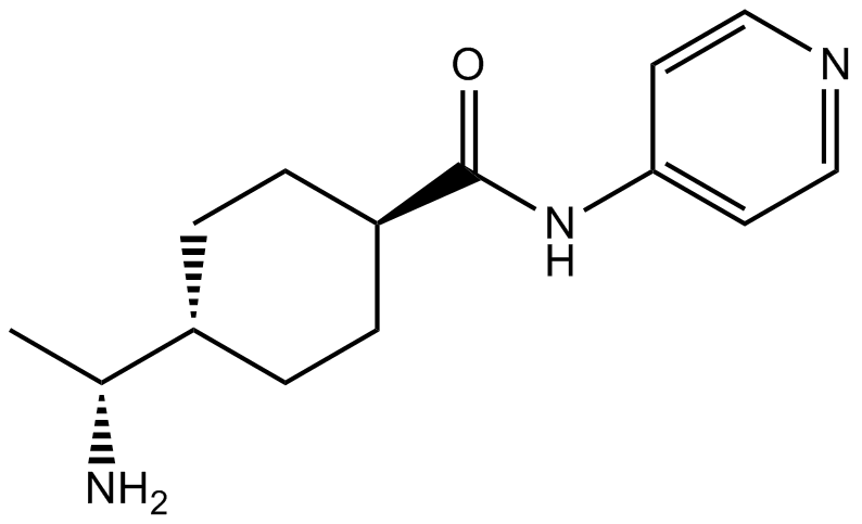 Y-27632 化学構造