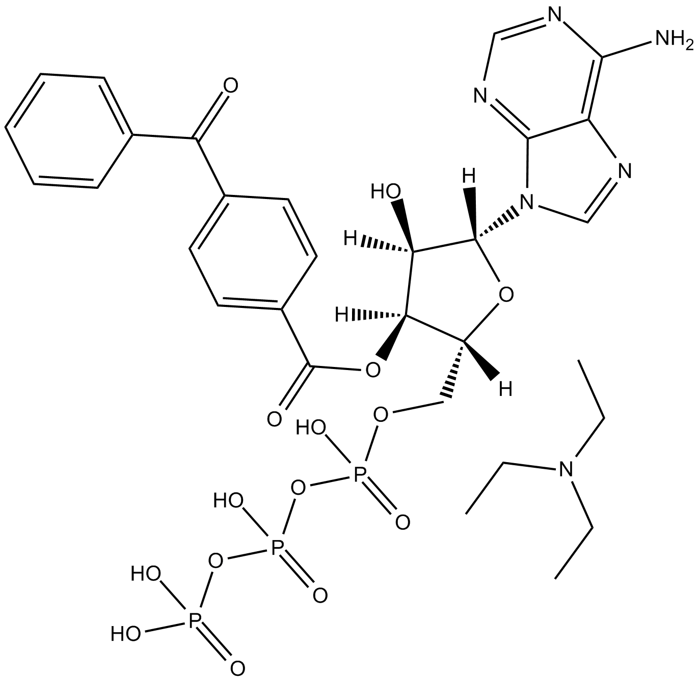 BzATP triethylammonium salt  Chemical Structure