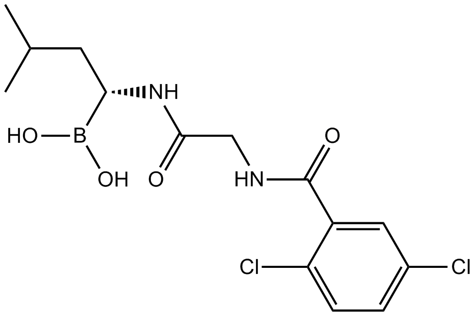 MLN2238 Chemische Struktur