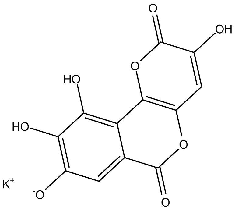Galloflavin 化学構造
