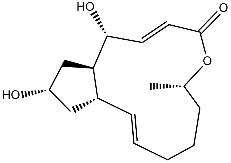 Brefeldin A 化学構造