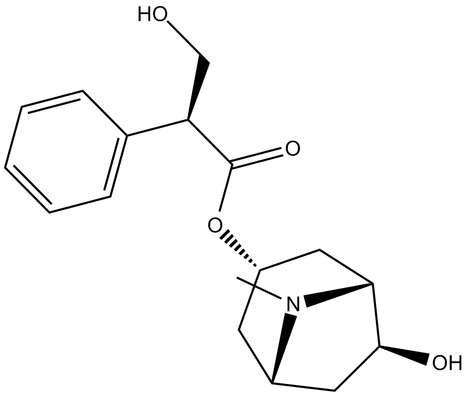 Anisodamine 化学構造