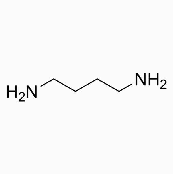 Putrescine Chemical Structure