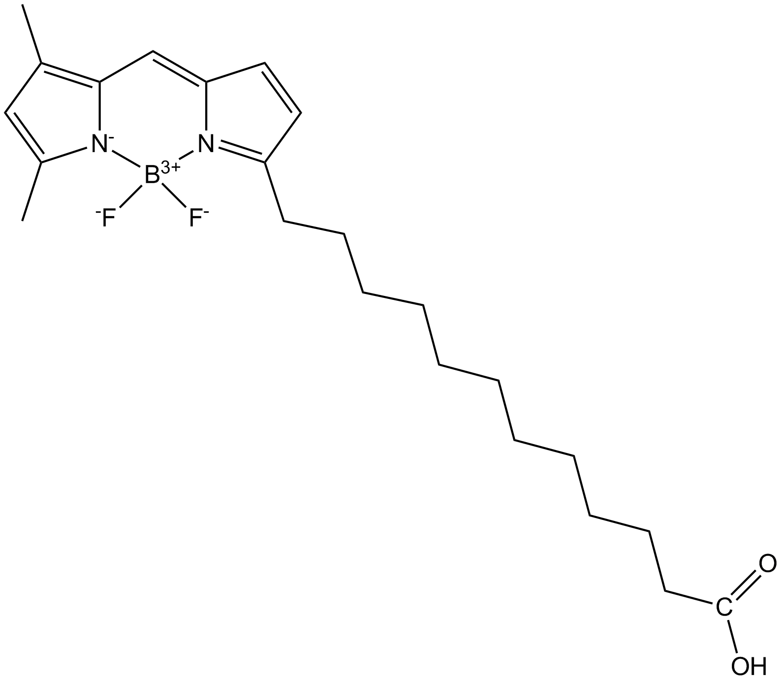 BODIPY FL C12 Chemische Struktur