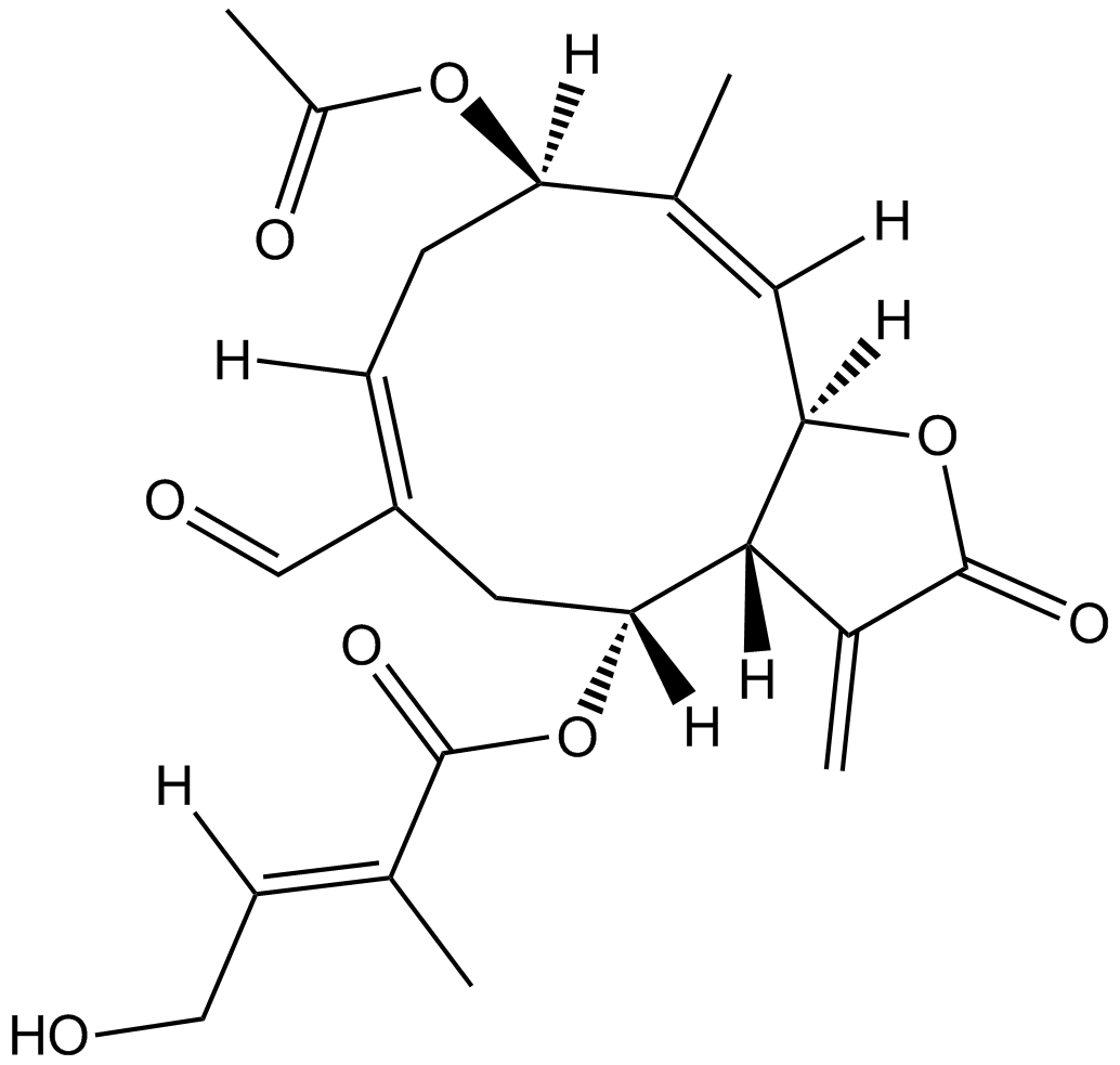 Eupalinolide O Chemical Structure