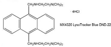 LysoTracker Blue DND-22 Chemical Structure