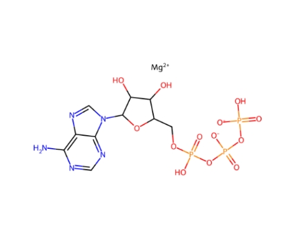 Adenosine 5′-triphosphate magnesium salt  Chemical Structure