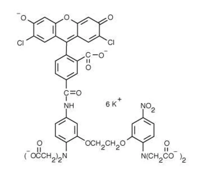 Calcium Green™-5N (hexapotassium salt), cell impermeable