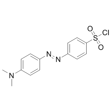 Dabsyl chloride (DABS-Cl) 化学構造