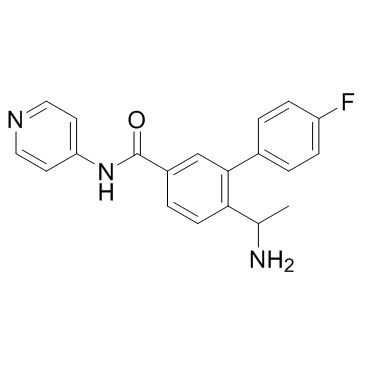 ROCK-IN-1  Chemical Structure