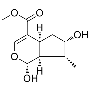 Loganetin 化学構造