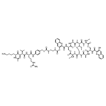 SW-163D-AcLysValCit-PABC-DMAE 化学構造