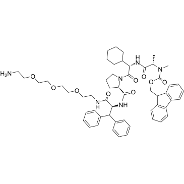 E3 ligase Ligand-Linker Conjugates 44 化学構造
