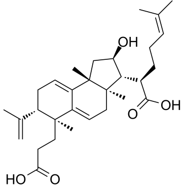 Poricoic acid B Chemical Structure