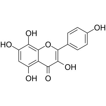 Herbacetin 化学構造