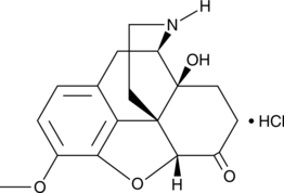 Noroxycodone (hydrochloride) Chemische Struktur