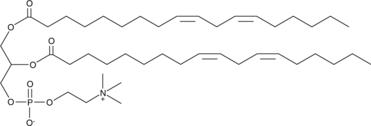 1,2-Dilinoleoyl-sn-glycero-3-PC Chemische Struktur