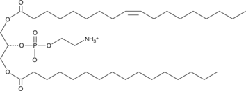 1-Palmitoyl-3-oleoyl-sn-glycero-2-PE 化学構造