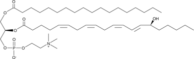 1-Stearoyl-2-15(S)-HETE-sn-glycero-3-PC  Chemical Structure