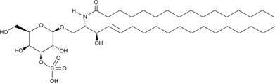 C16 3'-sulfo Galactosylceramide (d18:1/16:0)  Chemical Structure